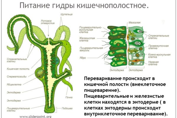 Кракен тор kr2web in