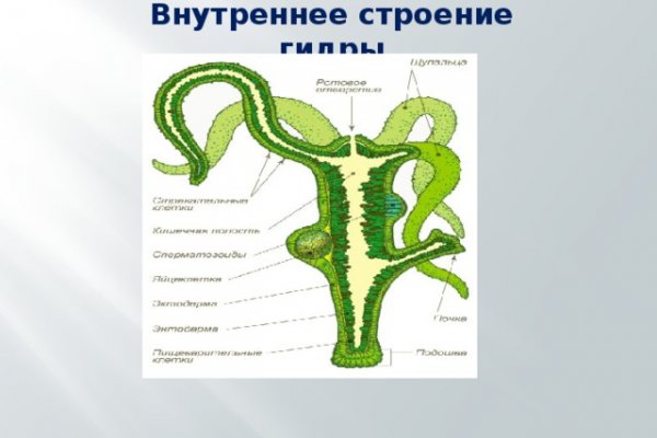 Кракен портал